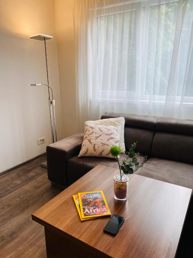 City Center Apartment Timisoara Exterior photo
